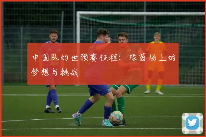 中国队的世预赛征程：绿茵场上的梦想与挑战