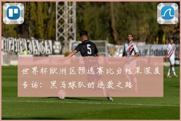 世界杯欧洲区预选赛比分结果深度专访：黑马球队的逆袭之路